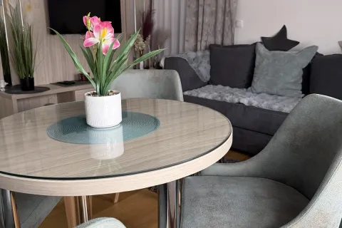 Apartman Radenković, Zlatibor