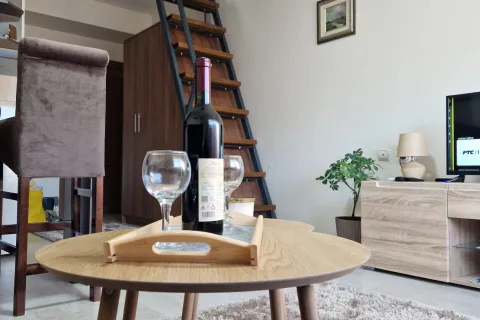 Studio apartman "Vanja", Aranđelovac