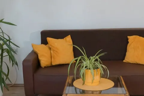Apartmani Bubamara A2, Leskovac