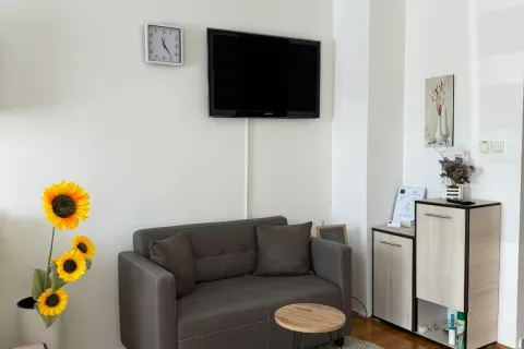 Angellina apartmani, Sremska Mitrovica