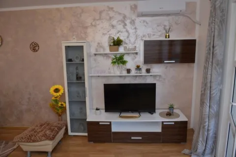 Apartman Živković Vrnjačka banja, Vrnjačka banja