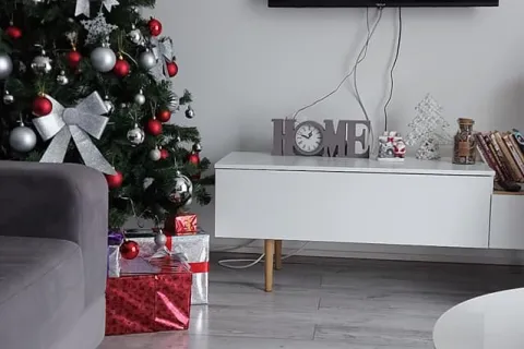 Apartmani Fenix, Golubac