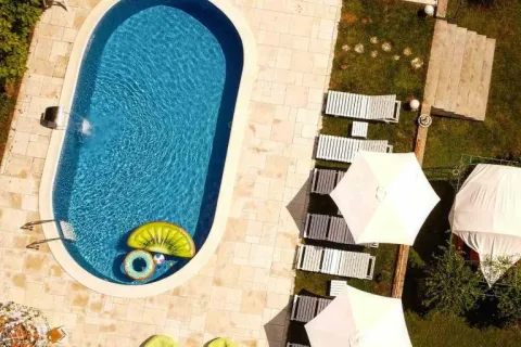Green House Adults Only, Vrdnik