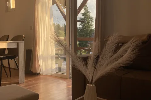Tara Nest, Tara