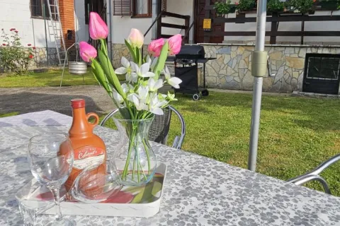 Kuća Lena Banja Vrujci, Banja Vrujci