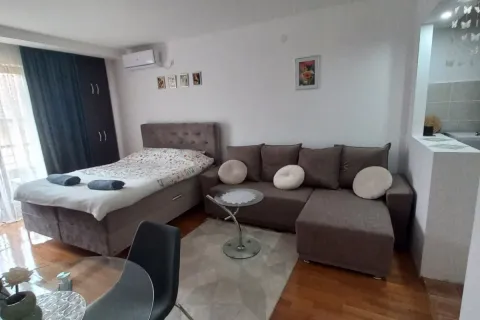 Studio Dva labuda, Vrnjačka banja