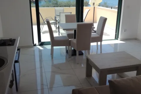 Olea, Tivat