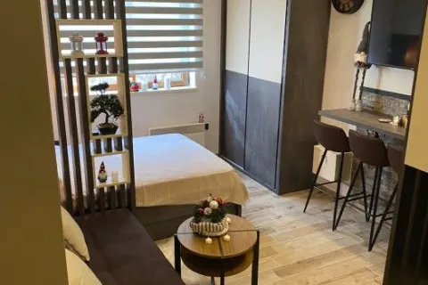 Apartman Šmizla N Lux 54, Kopaonik