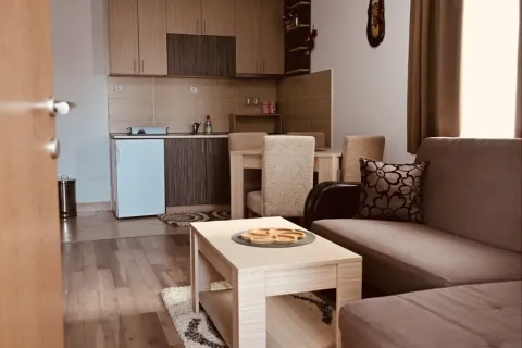 Vila Panović, Kopaonik