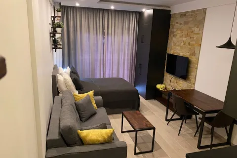 Milmari Lux N8, Kopaonik