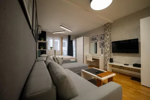 Aviator Two Double Beds Free Parking City Center Apartment, Niš