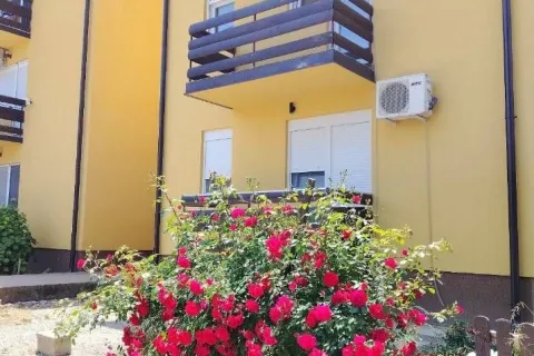 Apartmani 5 i Raj, Banja Vrujci