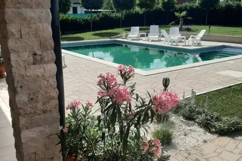 Villa Eleonora, Beograd