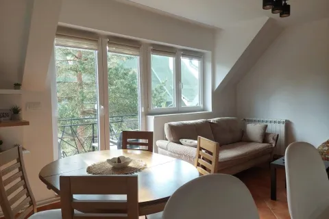 Šapat Bora, Divčibare