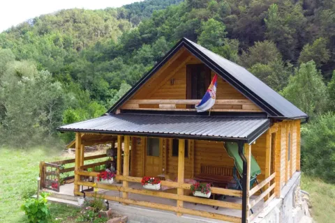 Std Pešić deda Mišina koliba, Knjaževac