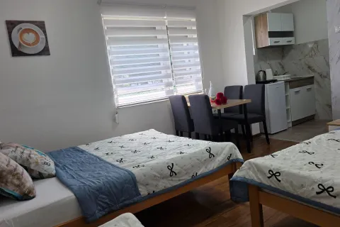 TNT accommodation, Niš