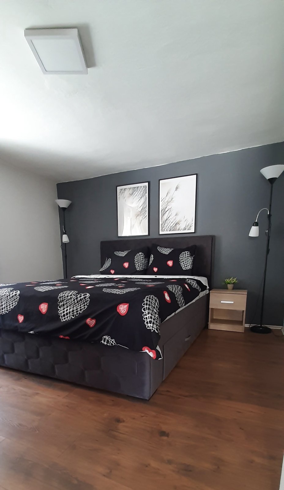 Apartman Živković A1