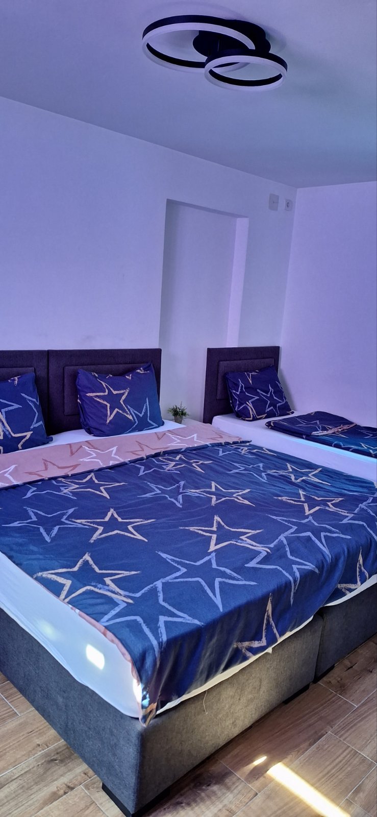 Apartman Živković A4