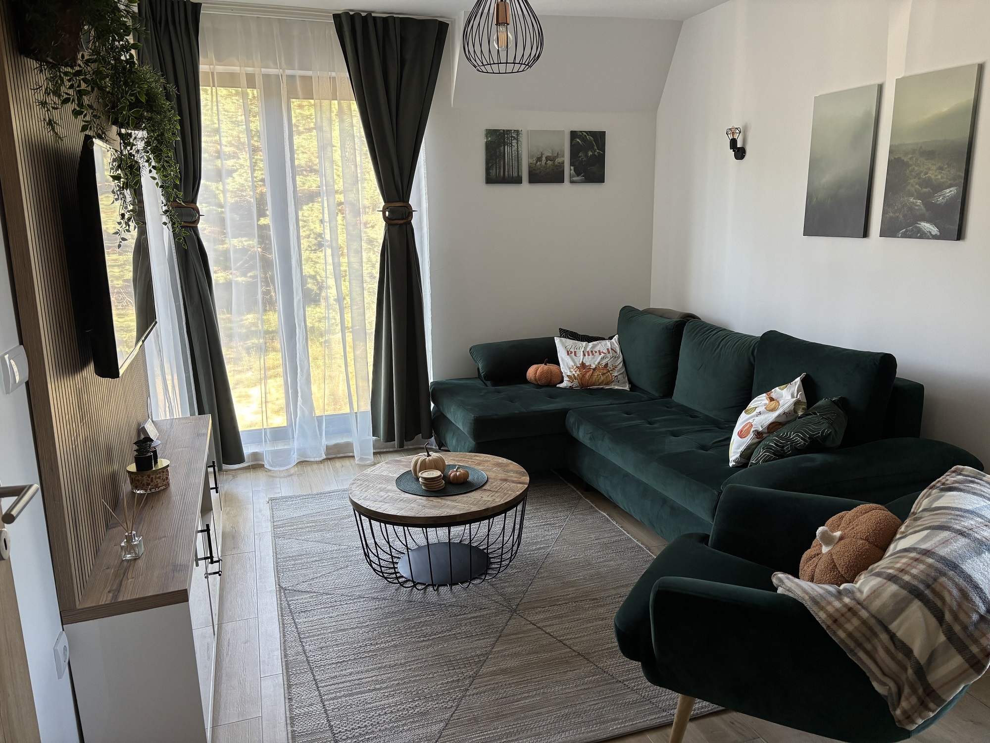 Apartmani Planina Divčibare