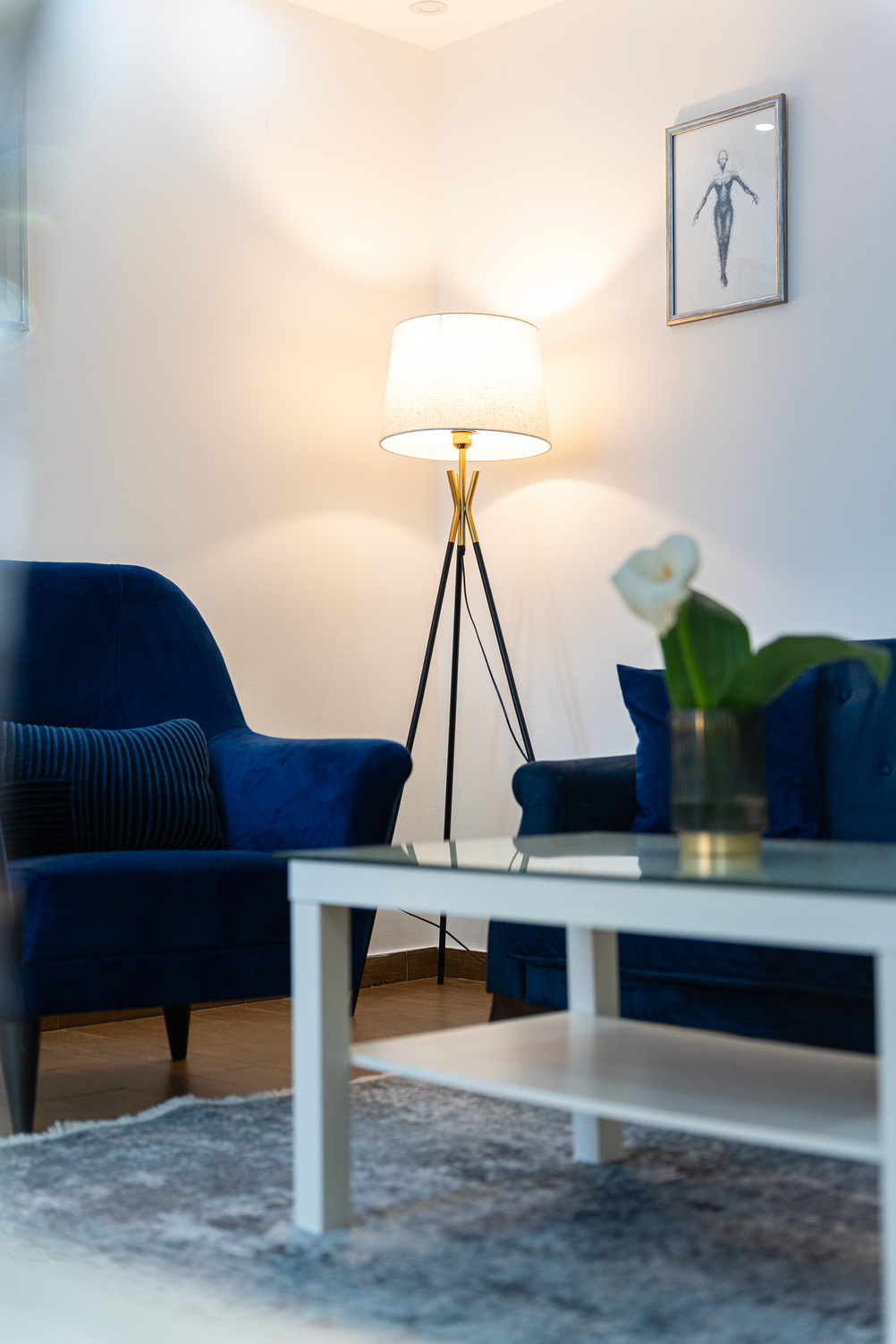 BlueMont Apartment