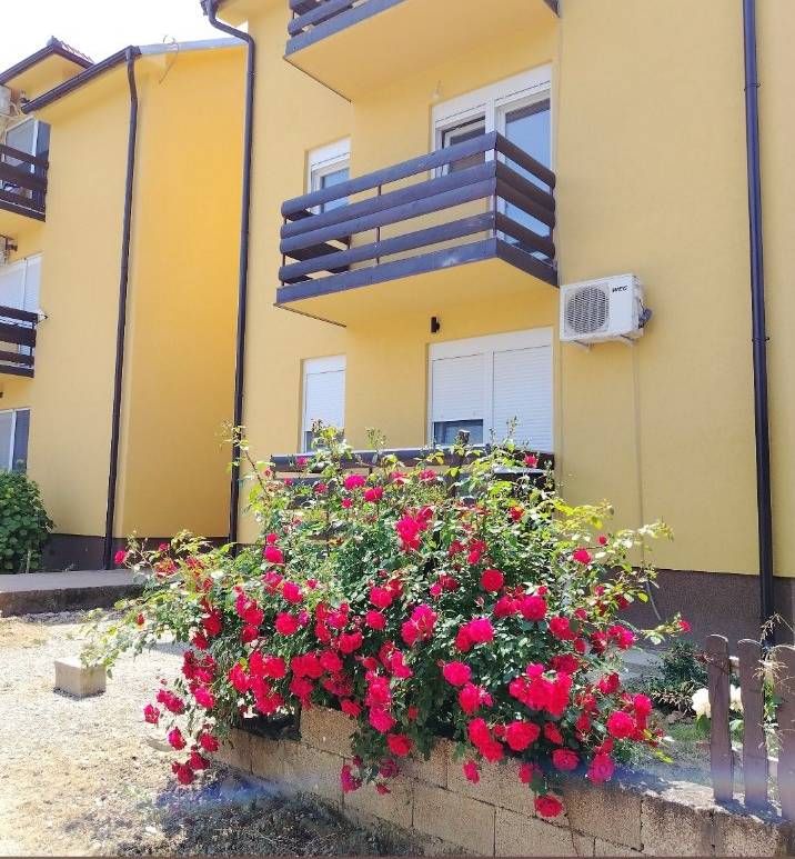 Apartmani 5 i Raj