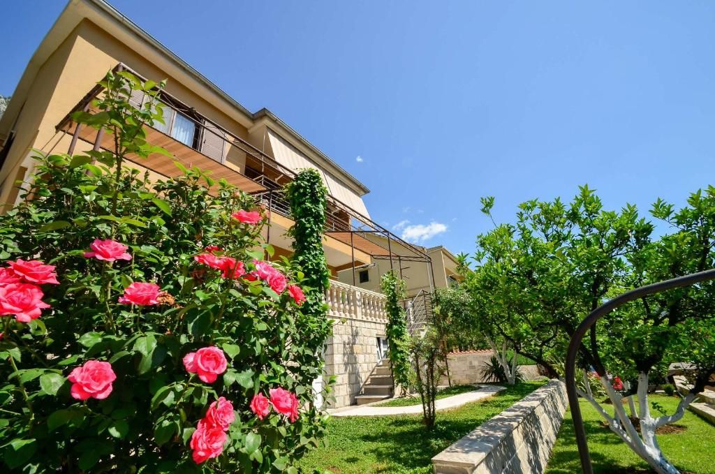 Apartmani Ćetković